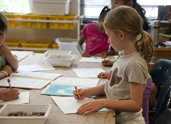 Curriculum update 2026